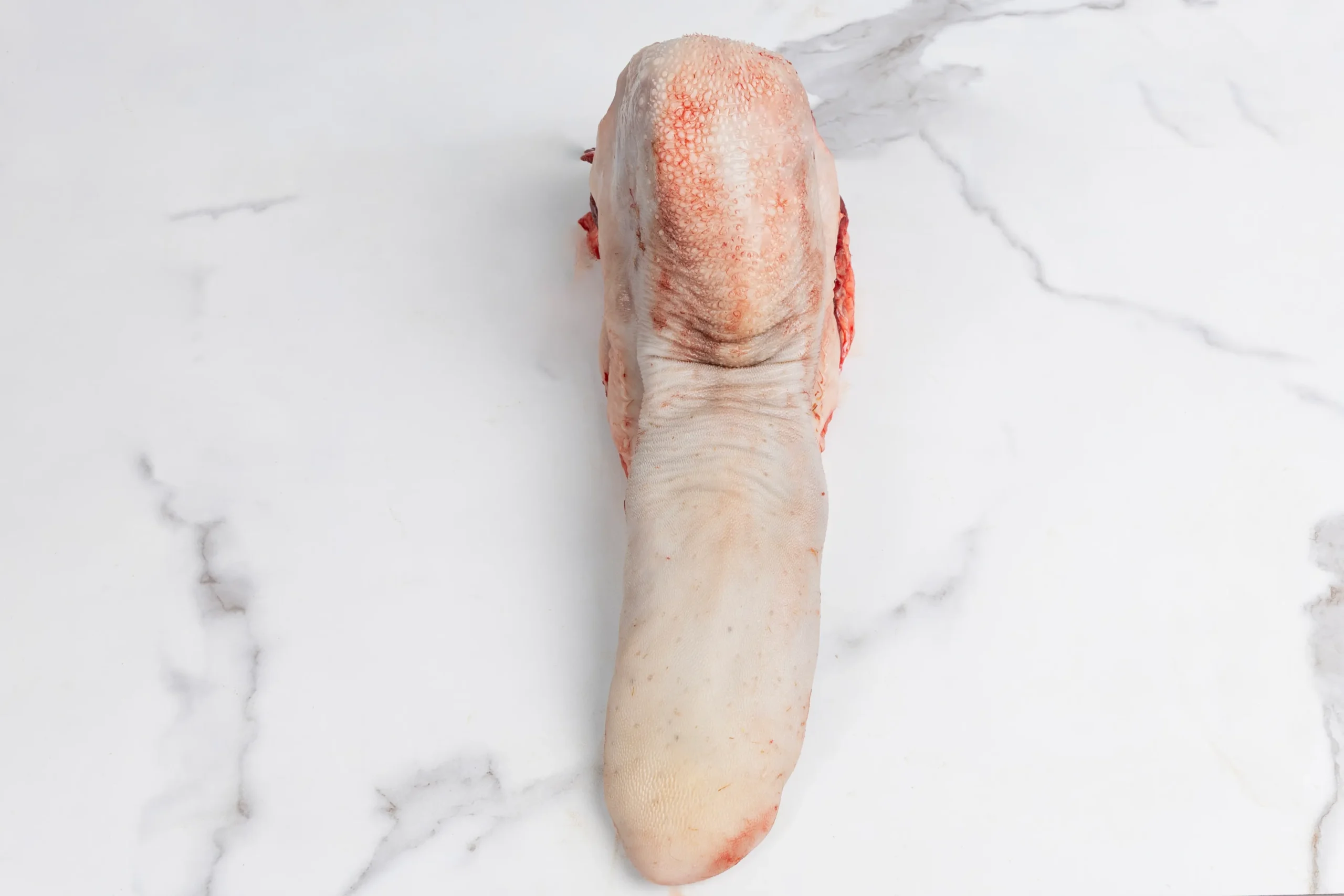 Lengua de ternera - Imagen 2